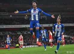 爱游戏手机版-布莱顿训练开放日，赛前状态回暖引欢呼，欧冠在即，球队文化再被提及的简单介绍